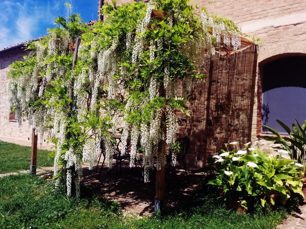 La Fornace Di San Galgano Villa Frosini Luaran gambar